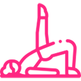Fitness Software in Delhi